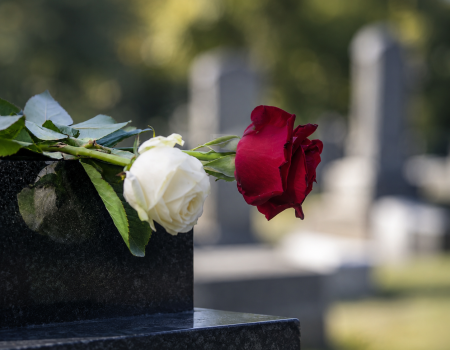 A white rose and a red rose rest on a dark gravestone in a cemetery, with other tombstones blurred in the background.